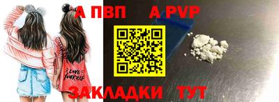 стаф Берёзовский