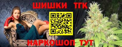стаф Берёзовский