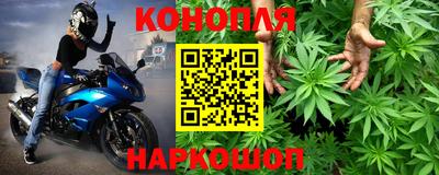 стаф Берёзовский