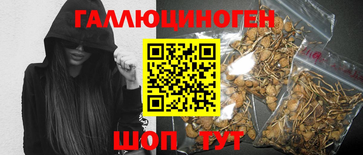 Псилоцибиновые грибы мицелий Керчь